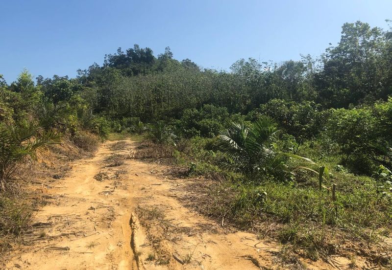 [6 EKAR] Tanah Pertanian Kampung Bukit Sikoh Tanah Merah Kelantan Untuk Dijual