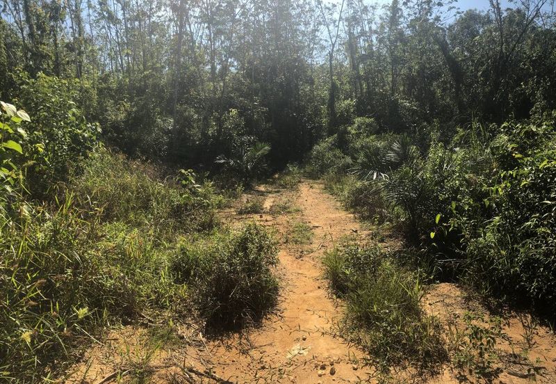 [6 EKAR] Tanah Pertanian Kampung Bukit Sikoh Tanah Merah Kelantan Untuk Dijual