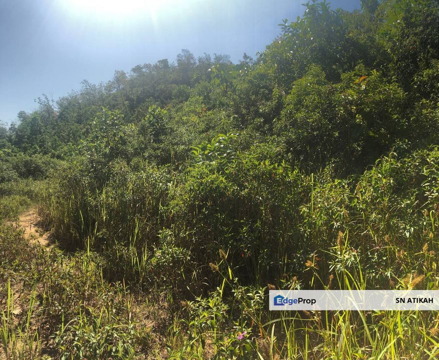 [6 EKAR] Tanah Pertanian Kampung Bukit Sikoh Tanah Merah Kelantan Untuk Dijual, Kelantan, Tanah Merah