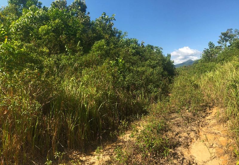 [6 EKAR] Tanah Pertanian Kampung Bukit Sikoh Tanah Merah Kelantan Untuk Dijual