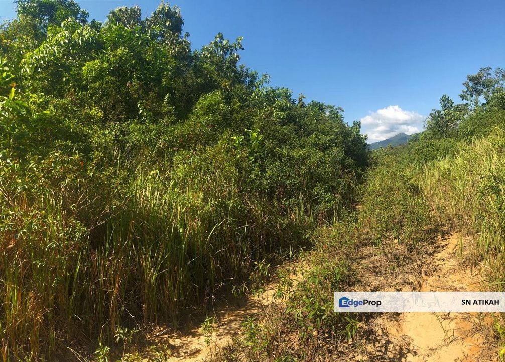 [6 EKAR] Tanah Pertanian Kampung Bukit Sikoh Tanah Merah Kelantan Untuk Dijual, Kelantan, Tanah Merah