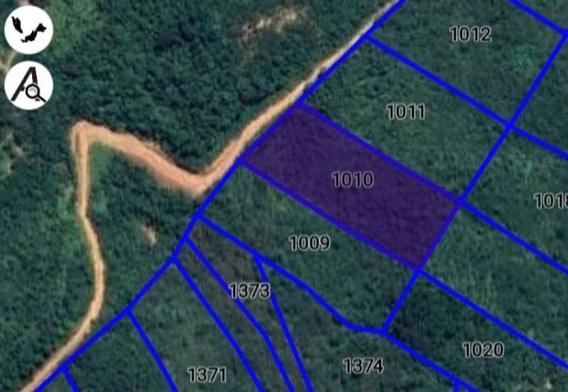 [6 EKAR] Tanah Pertanian Kampung Bukit Sikoh Tanah Merah Kelantan Untuk Dijual