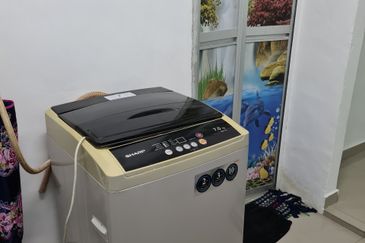 Jalan Mawar, Taman Mawar Pasir Gudang