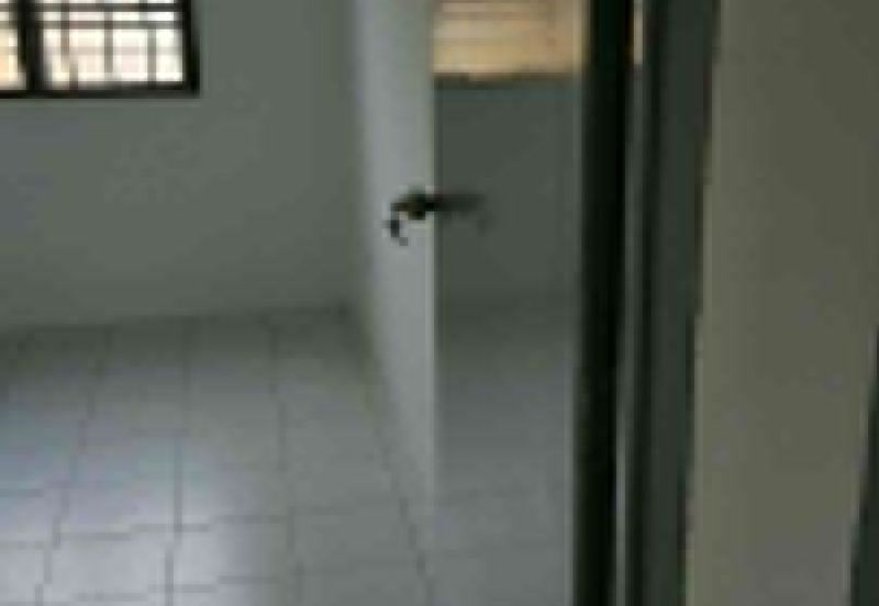 Jalan Camar, Taman Scientex, Pasir Gudang