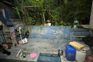 Jalan Melunak, Taman Desa Cemerlang