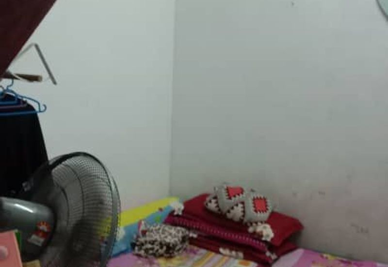 Jalan Kancil,  Taman Scientex, Pasir Gudang