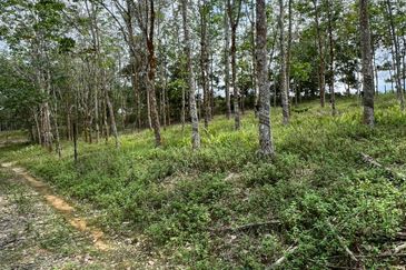 Taman Desa Makmur, Kota Tinggi (Near Kota Tinggi Waterfall)