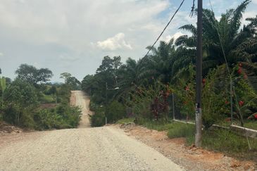 Taman Desa Makmur, Kota Tinggi (Near Kota Tinggi Waterfall)