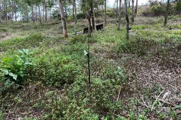 Taman Desa Makmur, Kota Tinggi (Near Kota Tinggi Waterfall)