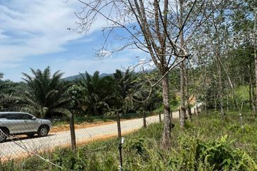 Taman Desa Makmur, Kota Tinggi (Near Kota Tinggi Waterfall)