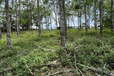 Taman Desa Makmur, Kota Tinggi (Near Kota Tinggi Waterfall)