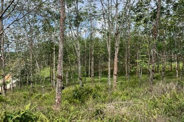 Taman Desa Makmur, Kota Tinggi (Near Kota Tinggi Waterfall)