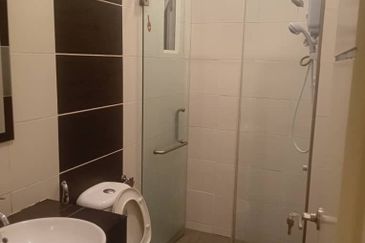 1Medini & Medini Signature