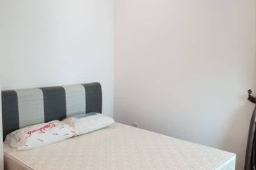 1Medini & Medini Signature