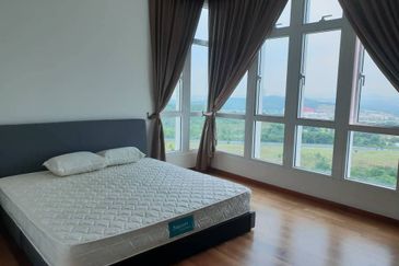 1Medini & Medini Signature