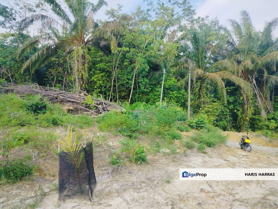 Kg Gesir Tengah, Sungai Selisek, Ulu Bernam | 2-Ekar, Tanah Pertanian, Selangor, Hulu Selangor