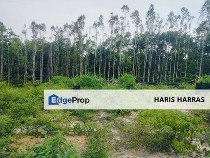 Kg Gesir Tengah, Sungai Selisek, Ulu Bernam | 2-Ekar, Tanah Pertanian, Selangor, Hulu Selangor