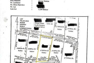 Sauk, Selinsing, Kuala Kangsar | Getah, 3.2 Ekar Tanah Pertanian