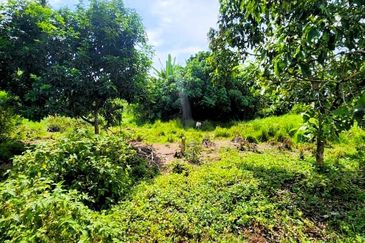 MURAH | Kampung Ayer Hitam, Langkap | Banglo Lot