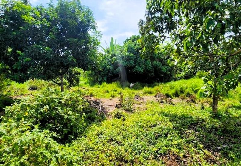 MURAH | Kampung Ayer Hitam, Langkap | Banglo Lot