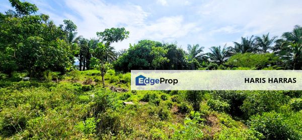 MURAH | Kampung Ayer Hitam, Langkap | Banglo Lot, Perak, Langkap
