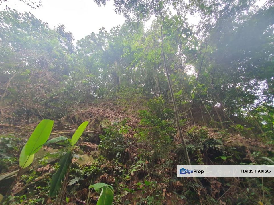 1-Acre Bungalow Land, Sungai Penchala for Sale, Kuala Lumpur, Kampung Sungai Penchala