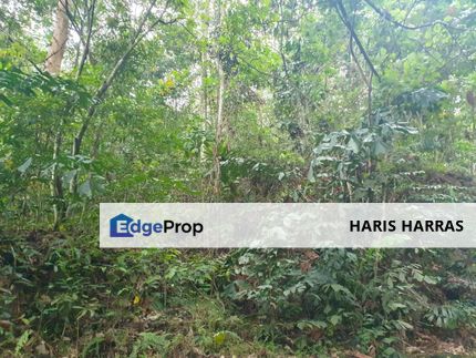 1-Acre Bungalow Land, Sungai Penchala for Sale, Kuala Lumpur, Kampung Sungai Penchala