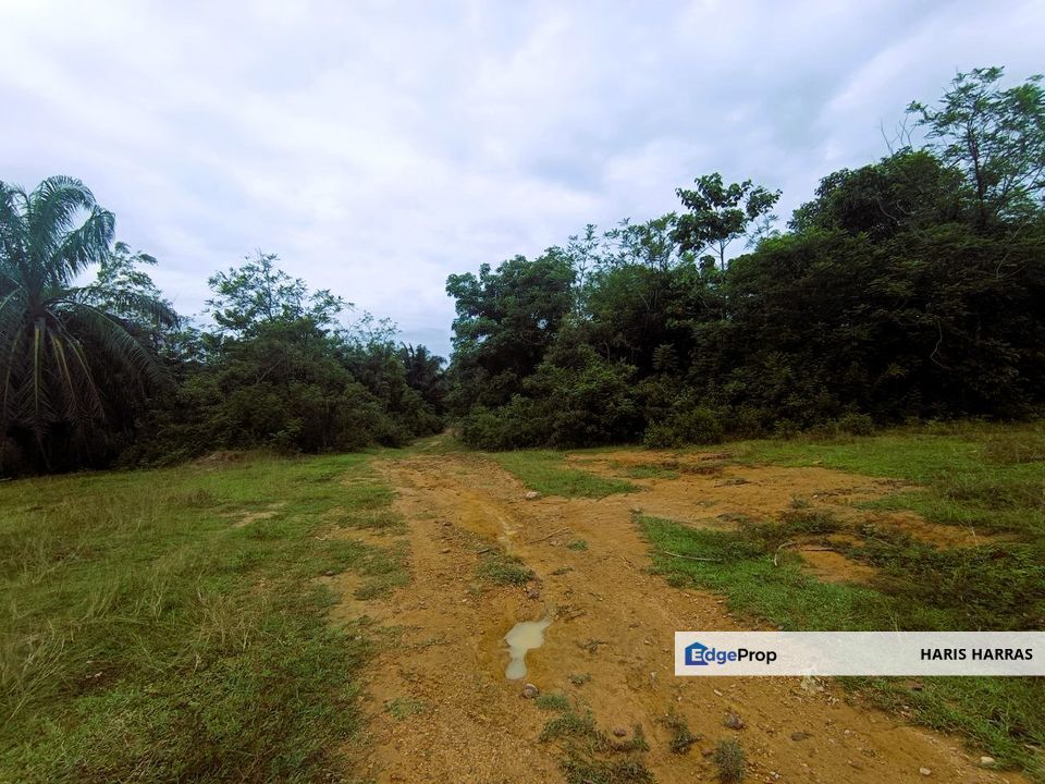 Next to Ecohill | 3-acre Agriculture Land, Batu 3 Semenyih, Selangor, Semenyih