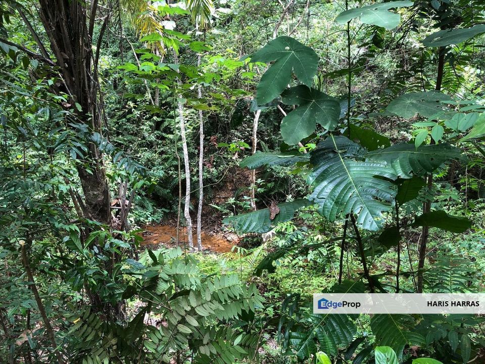 3-Parcels of Agriculture Land, Batu Yon, Kuala Lipis, Pahang, Pahang, Kuala Lipis