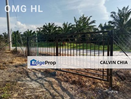 【 26 Acres 】 Simpang Pertang @ Negeri Sembilan Durian Farm ‼️Focus in Musang King durian 🥳  15 years(old tree delicious 👍🏻👍🏻) 20+ trees , Negeri Sembilan, Jelebu