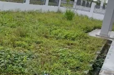 Hazel @ Meridin East