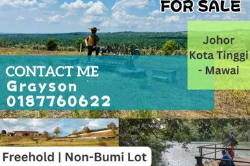 Eco tourism farm agriculture land near kota tinggi