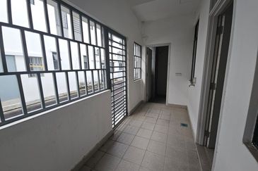 Dandelion Meridin east near kota masai