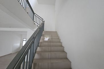 Dandelion Meridin east near kota masai