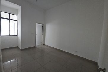 Dandelion Meridin east near kota masai