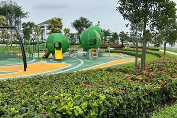 Tate Dalton @ Eco Botanic 2