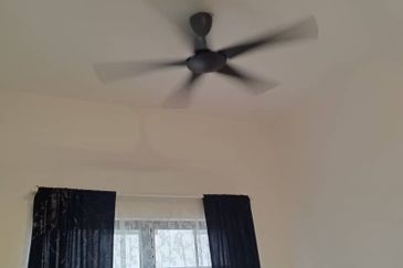 Tate Callington @ Eco Botanic 2