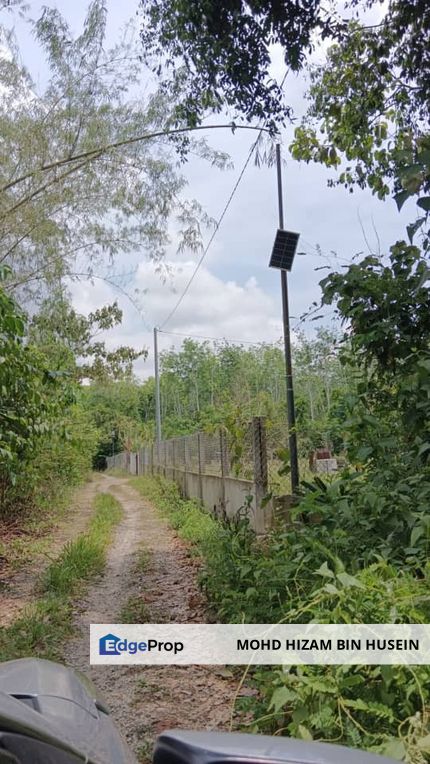 FOR SALE TANAH KEBUN KUBUR PANJANG PENDANG, Kedah, Pendang