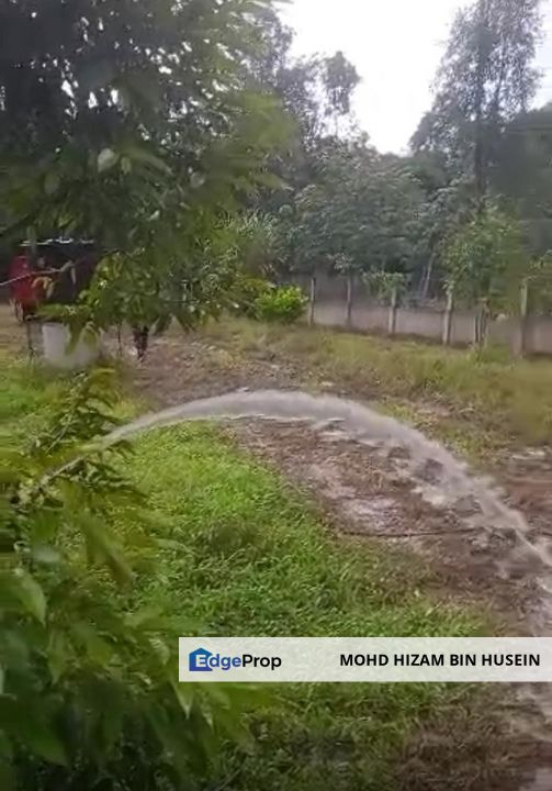 FOR SALE TANAH KEBUN KUBUR PANJANG PENDANG, Kedah, Pendang