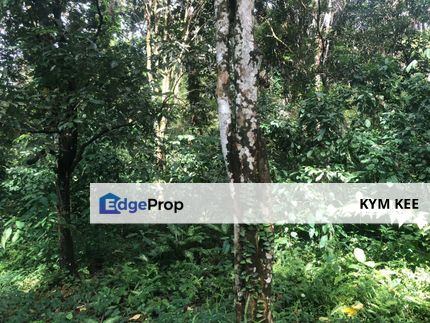 【With River】Hulu Bernam Timor Agricuture Land Tanjung Malim Perak, Selangor, Hulu Selangor