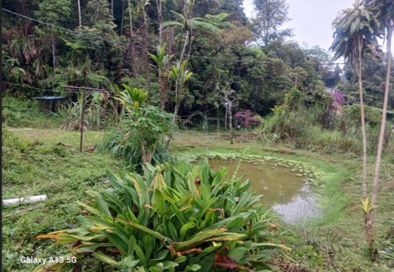 BANDAR BARU TANAH RATA
