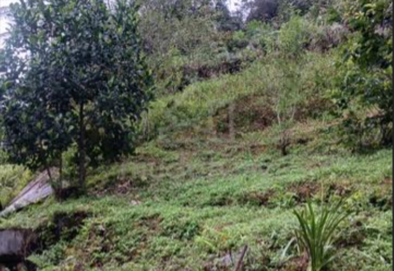 BANDAR BARU TANAH RATA