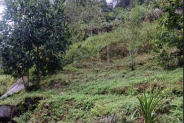 BANDAR BARU TANAH RATA