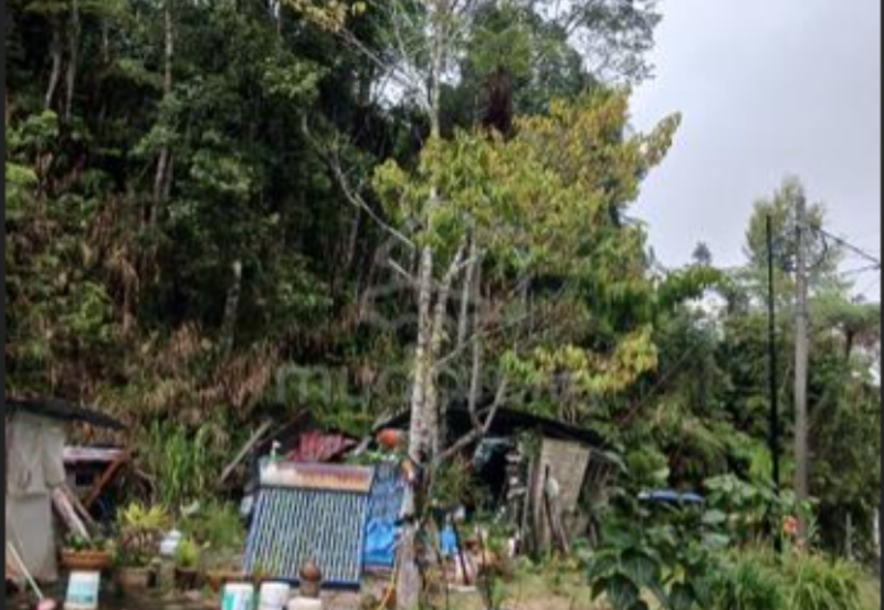 BANDAR BARU TANAH RATA