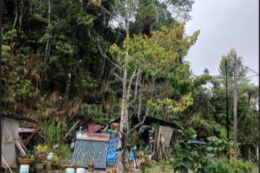 BANDAR BARU TANAH RATA