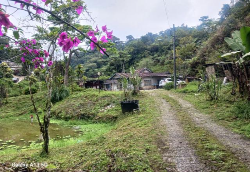 BANDAR BARU TANAH RATA