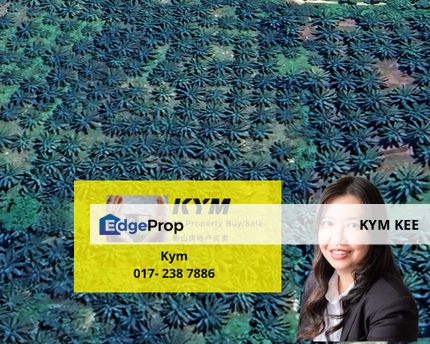 Seri Alam Agriculture Land 30 Acres Mukim Plentong Masai Johor Bahru, Johor, Masai