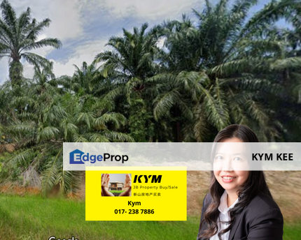 【 Big Land】Batu Pahat Agriculture Land (Palm Oil), Johor, Batu Pahat