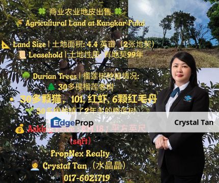 Agricultural Land at Kangkar Pulai | 农业地皮   📏 土地面积：4.4 英亩（2张地契）商业地皮出售 , Johor, Johor Bahru