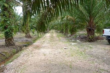 Taman Perindustrian Pontian Maju